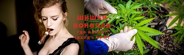трава Магадан