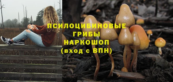 a pvp Липки