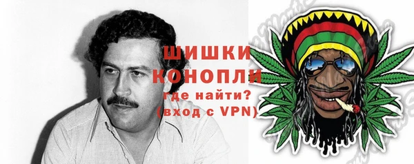 молекула духа Лихославль